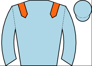 Horse silk
