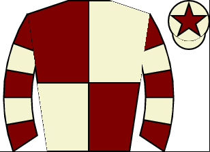 Horse silk