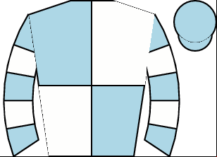 Horse silk