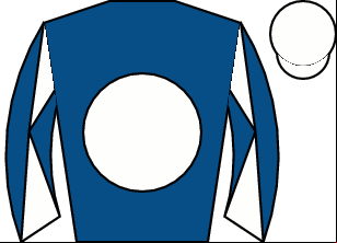 Horse silk
