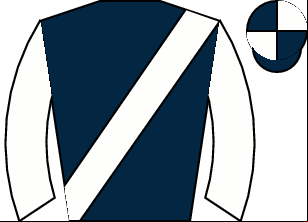 Horse silk