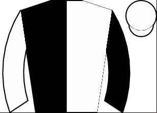 Horse silk