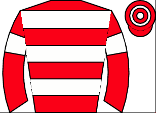 Horse silk