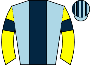 Horse silk