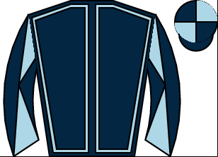 Horse silk