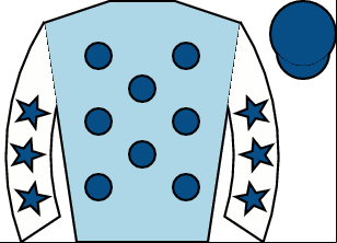 Horse silk