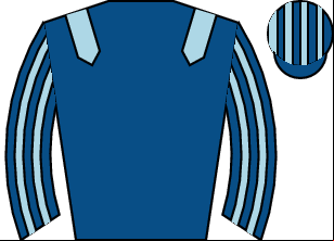 Horse silk