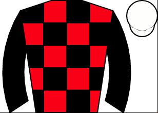 Horse silk