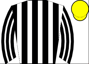 Horse silk