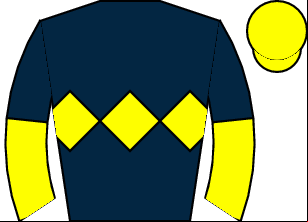 Horse silk