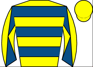 Horse silk