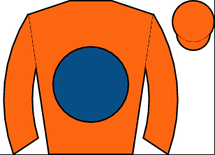 Horse silk