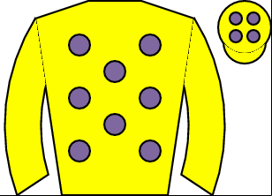 Horse silk