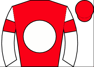 Horse silk