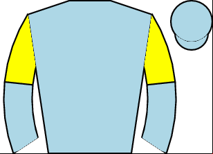 Horse silk