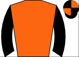 Horse silk