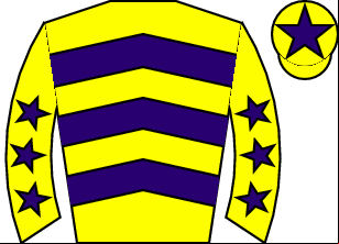 Horse silk