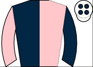 Horse silk
