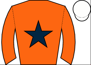Horse silk