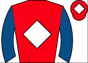 Horse silk