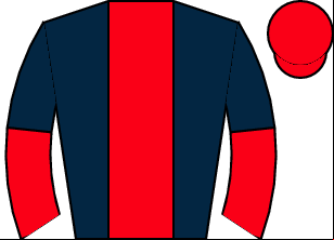 Horse silk