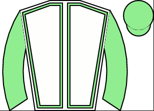 Horse silk