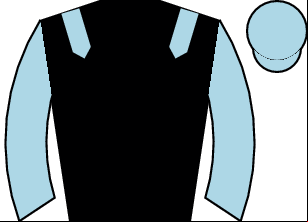Horse silk