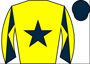 Horse silk