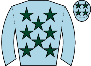 Horse silk