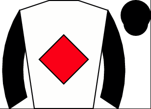 Horse silk