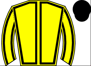 Horse silk