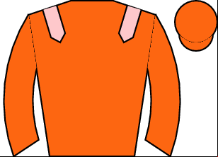 Horse silk