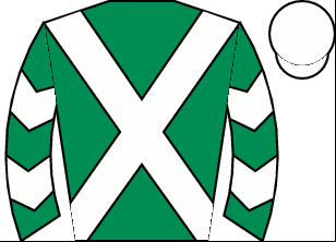 Horse silk