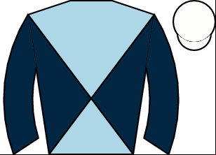 Horse silk
