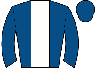 Horse silk