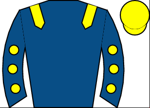 Horse silk