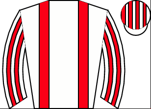 Horse silk