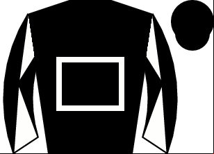 Horse silk