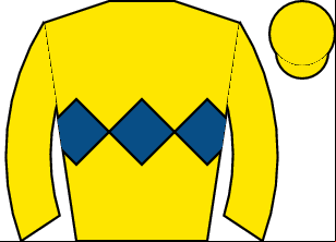 Horse silk