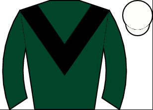 Horse silk