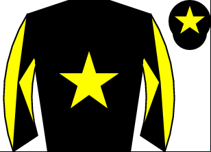 Horse silk