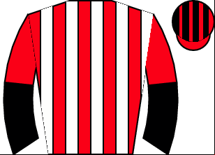Horse silk