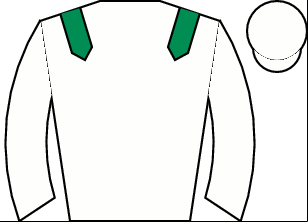 Horse silk