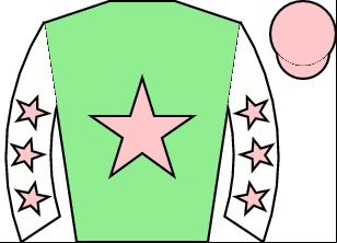 Horse silk