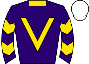 Horse silk