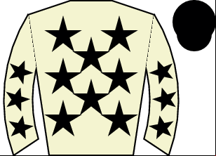 Horse silk