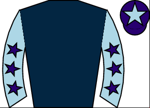 Horse silk