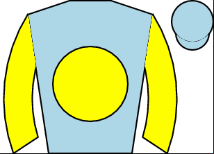 Horse silk