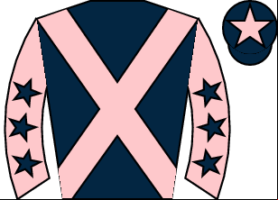 Horse silk