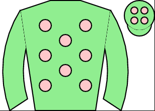 Horse silk